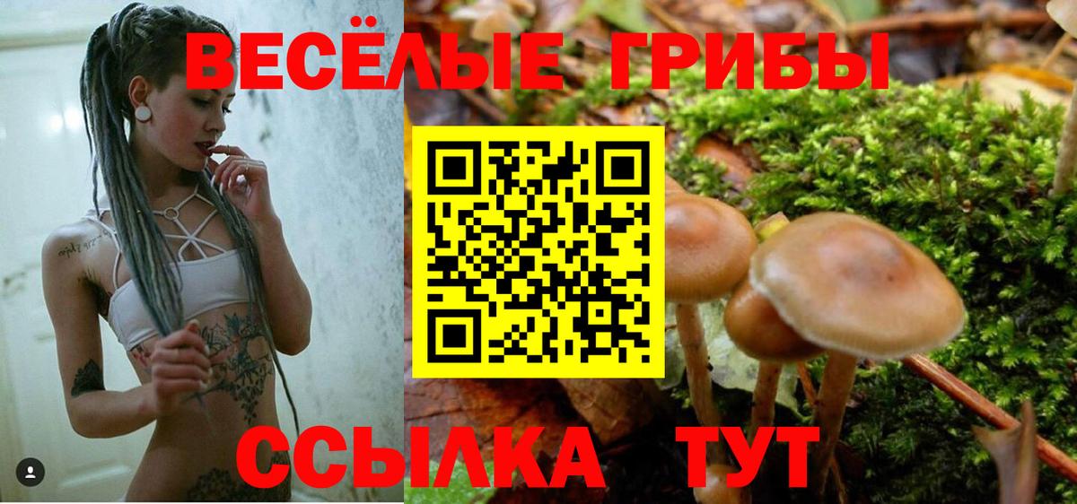 Галлюциногенные грибы Magic Shrooms  Псилоцибиновые грибы MAGIC MUSHROOMS  Нальчик  Вход с VPN 